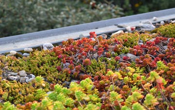 the cost of Norton Mandeville green roof installation
