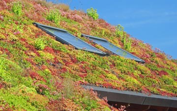 Norton Mandeville living roof systems