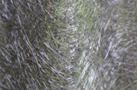 Norton Mandeville fibreglass roof work